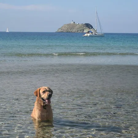 Σπίτι διακοπών Maison A La Pointe Du Cap Corse Barcaggio